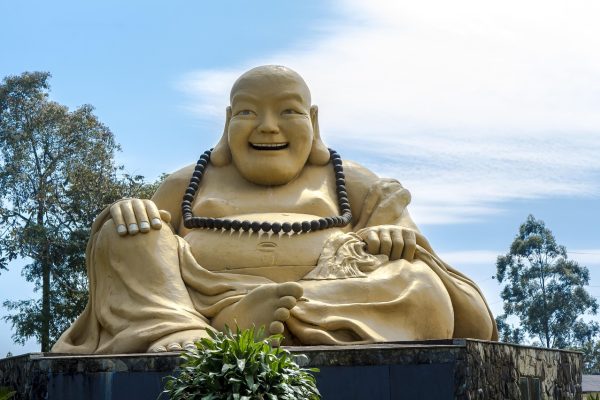 找字体资料库里按字重与字集分类整理的中文字体样本卡片，浅色桌面上摊开成扇形排列